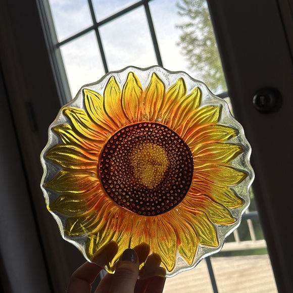 Pier 1 Imports Set of Floral Glass Plates - Picture 10 of 13